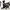 Accelerate-scaled-1-aspect-ratio-16-9