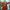 Photo-3-EINMIN_Still_2-1-aspect-ratio-16-9