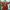Photo-3-EINMIN_Still_2-1-aspect-ratio-16-9