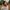Shamita-Ray-Dance-Artist-aspect-ratio-750-750 Shamita Ray, Dance Artist