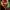 Opera_Scenes_22_NP_726-aspect-ratio-16-9